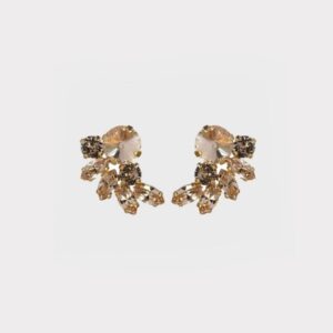 Earrings new
